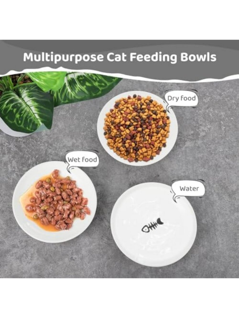 10 Pack Ceramic Cat Bowls - Wide Shallow Dishes, Non-Slip Bottom, No Whisker - Picture 7 of 7